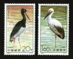 1992-2����Ʊ