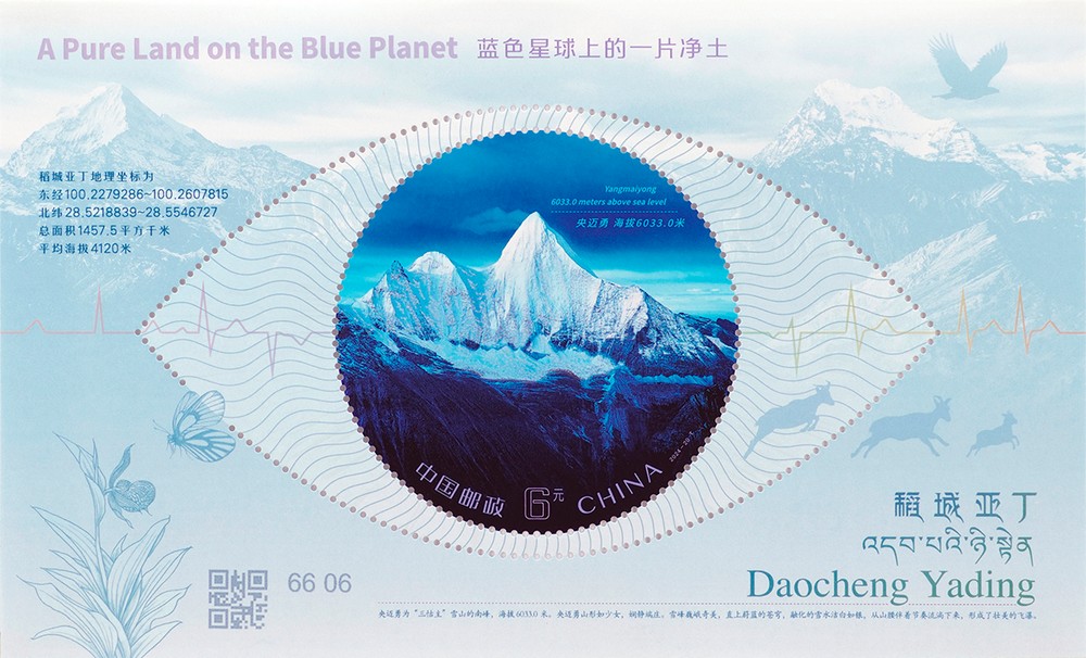 2024�꡶�����Ƕ���С����